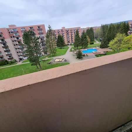 Ferienwohnung Altenau Im Harz, Hunde Exteriör bild
