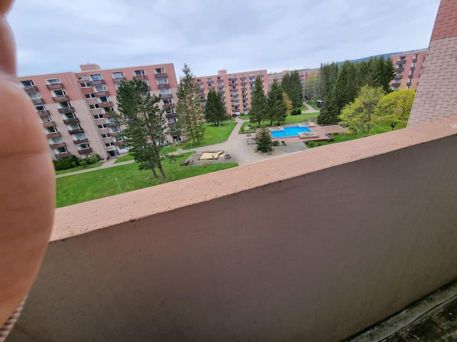 Ferienwohnung Altenau Im Harz, Hunde Exteriör bild