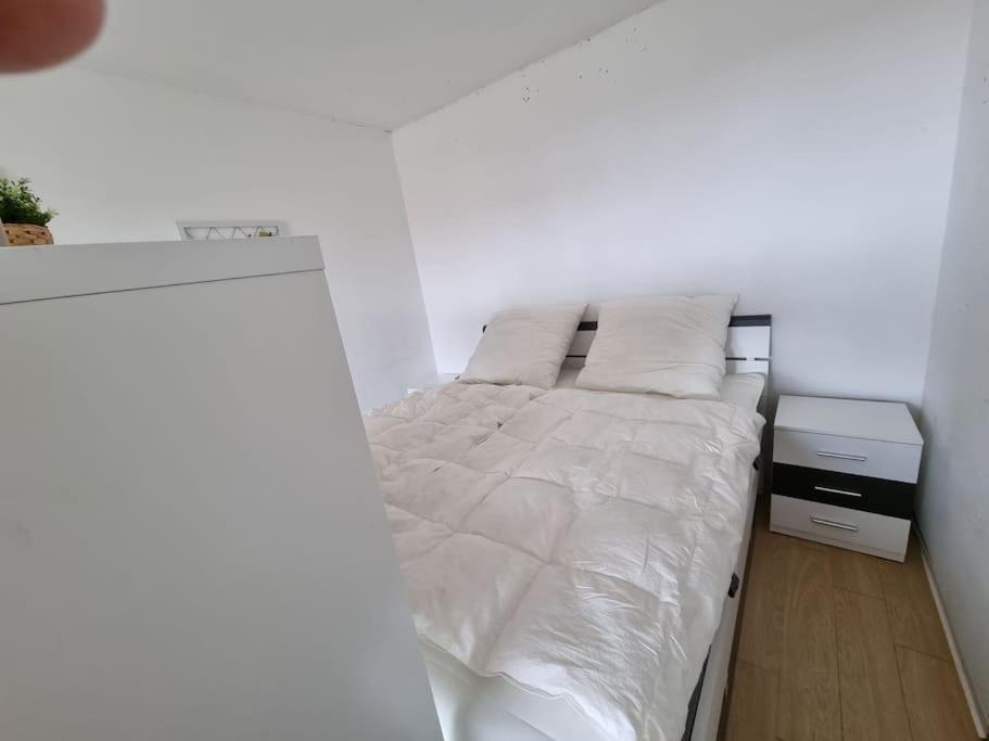 Ferienwohnung Altenau Im Harz, Hunde Exteriör bild